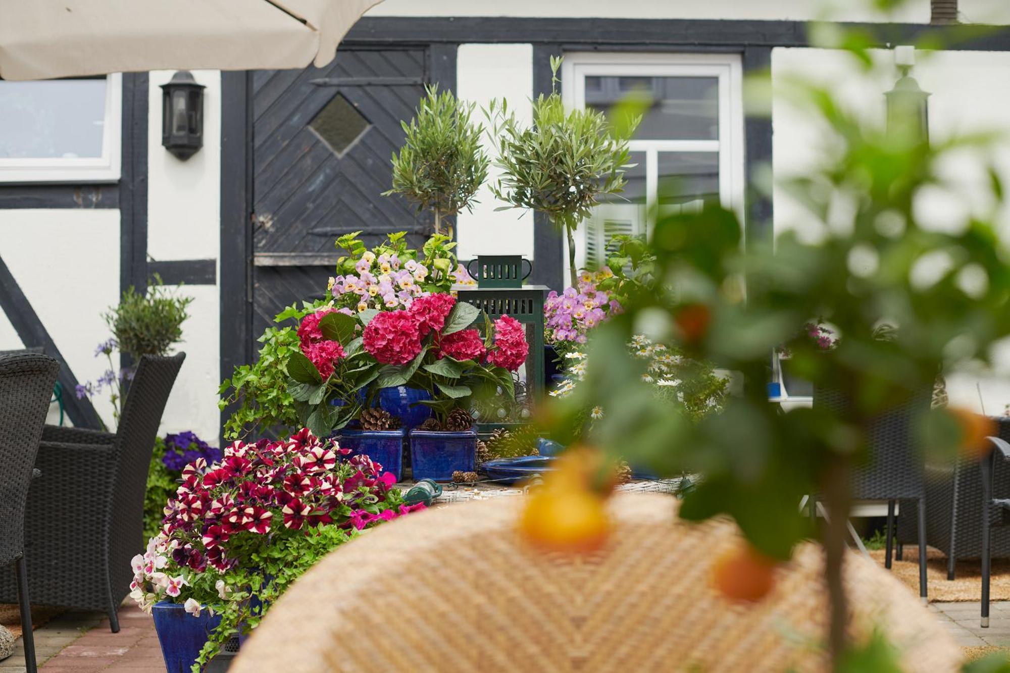 Hotell Baeckagarden Ystad Exteriér fotografie