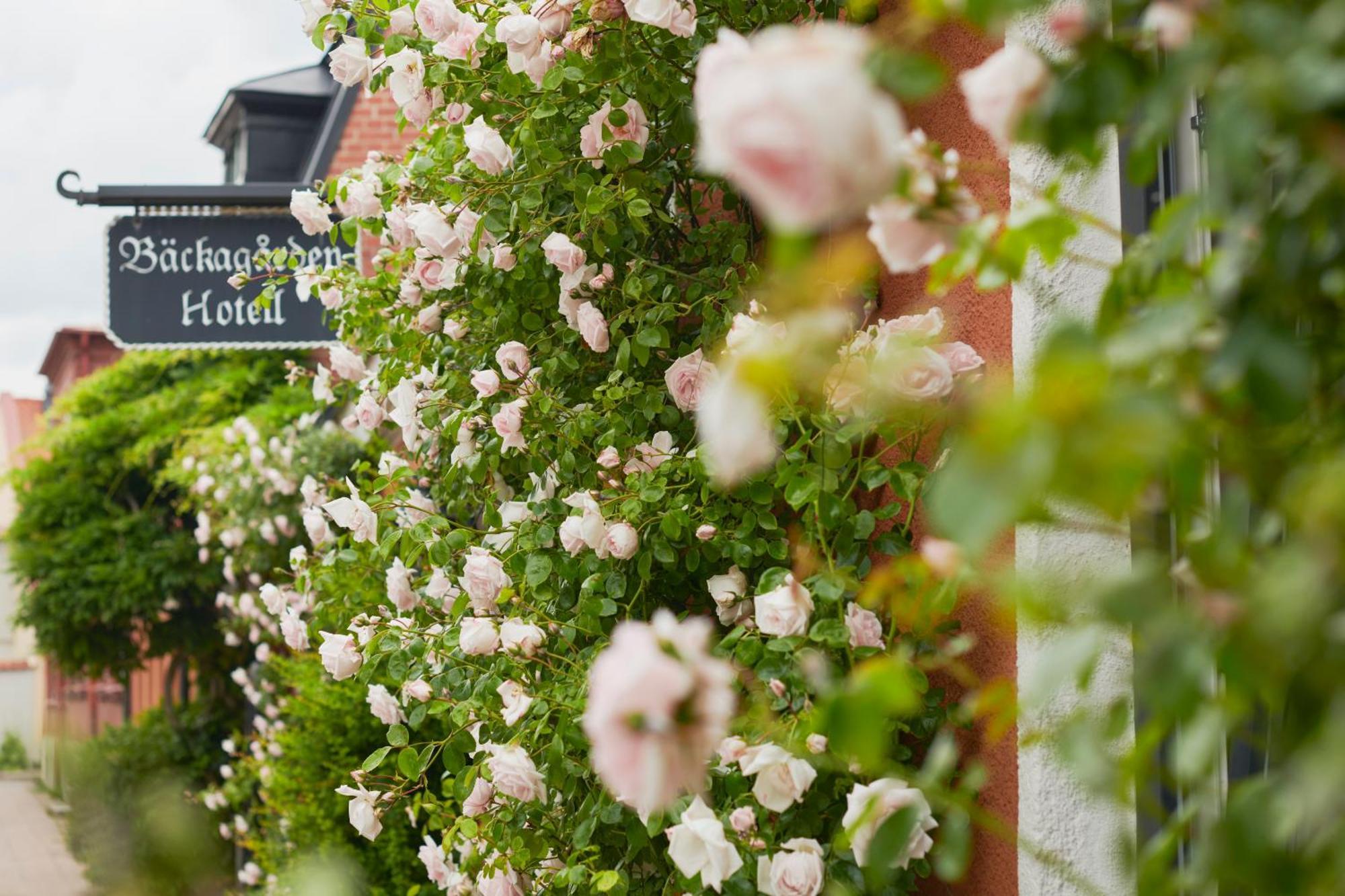 Hotell Baeckagarden Ystad Exteriér fotografie